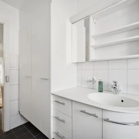 Comfortable Stay In Oerlikon 20 Minutes Away From Zurich Airport Exterior photo