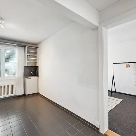 Comfortable Stay In Oerlikon 20 Minutes Away From Zurich Airport Exterior photo