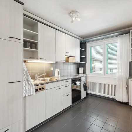 Comfortable Stay In Oerlikon 20 Minutes Away From Zurich Airport Exterior photo